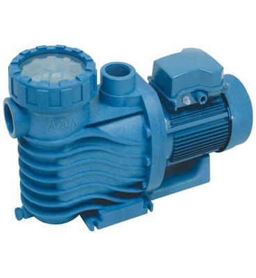 泳池专用水泵